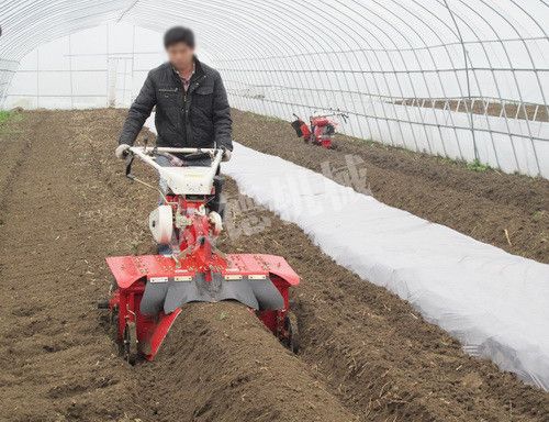 大棚用旋耕起壟機